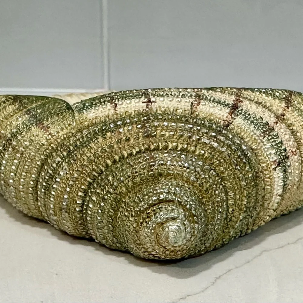 Seabreeze bath collection Soap Dish Sea Shell Or Trinket Ring Tray , Beach Decor